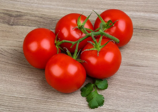 Rote Tomaten auf dem Zweig — Stockfoto