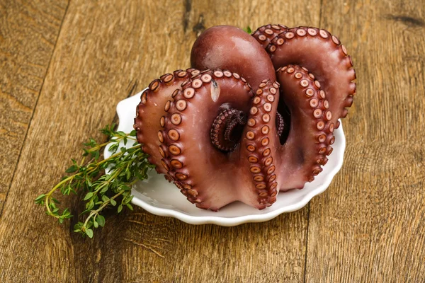 Gekochter Oktopus mit Kraut — Stockfoto