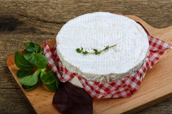Heerlijke camembert kaas — Stockfoto