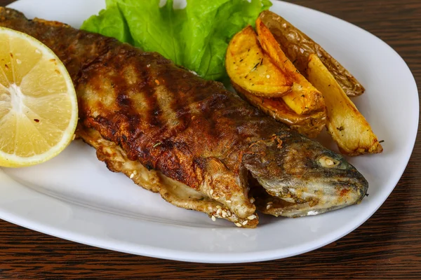 Tasty Grilled trout — Stock Photo, Image