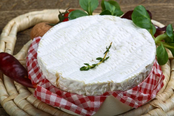 Delicioso queijo camembert — Fotografia de Stock