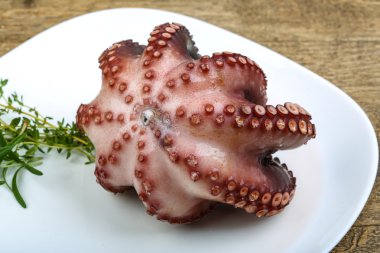 Herb ile haşlanmış ahtapot