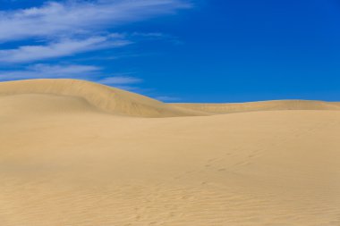 Kanarya Adası'çöl