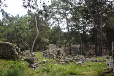 Türkiye'de antik Phaselis ören