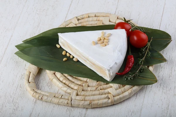 Dreieck Brie-Käse — Stockfoto