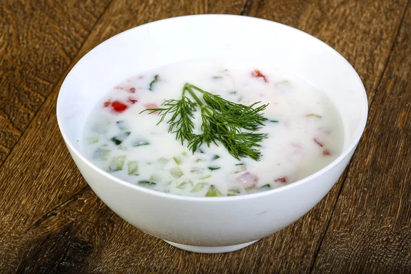 ซุป kefir เย็น — ภาพถ่ายสต็อก