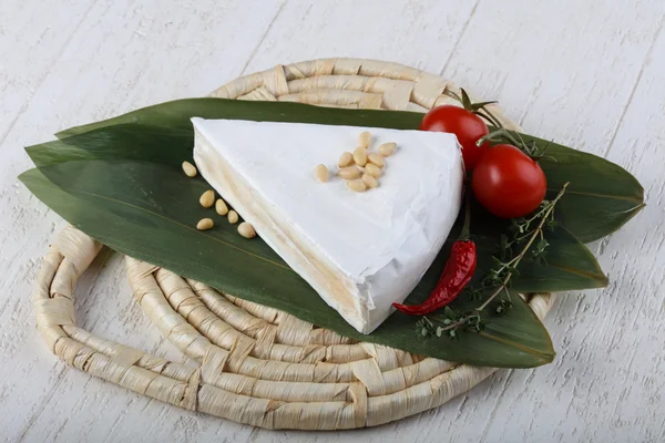 Brie formaggio su foglie di bambù — Foto Stock