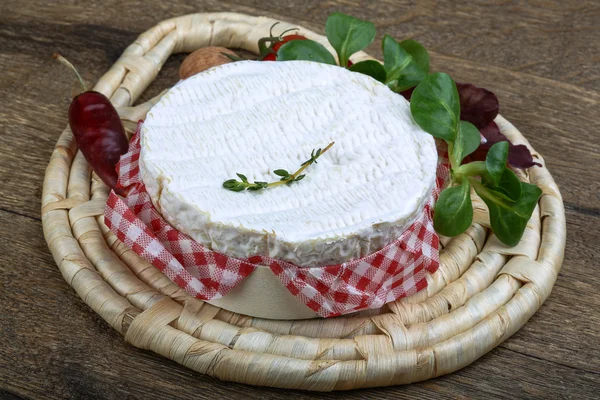 Finom camembert sajt — Stock Fotó