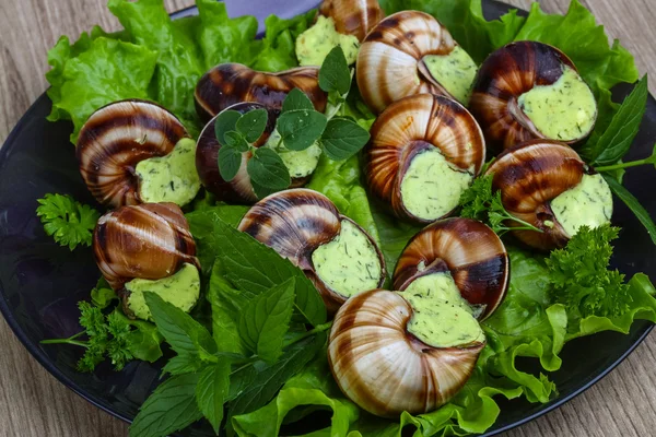 Французская кухня Escargot — стоковое фото