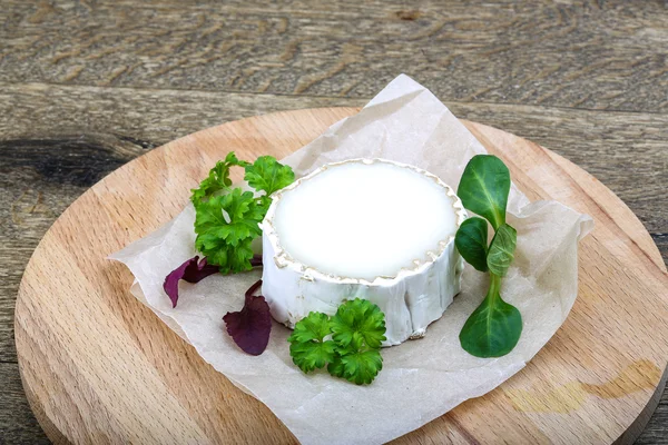 Goat cheese with white mold — Stock Photo, Image