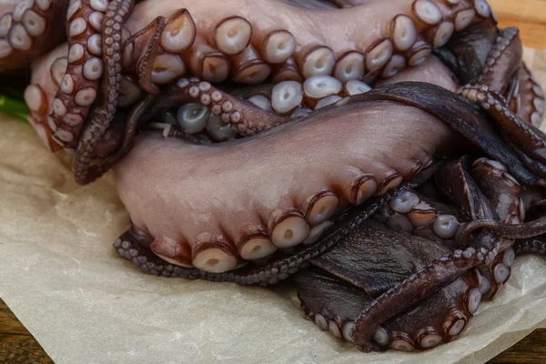 Dużych octopus Raw — Zdjęcie stockowe