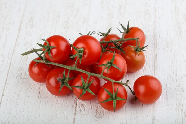 Kirschtomaten auf dem Zweig — Stockfoto