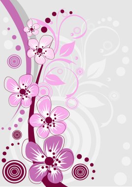 kiraz çiçeği, sakura çiçekler