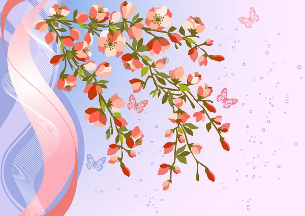 Branches de fleurs de cerisier — Image vectorielle
