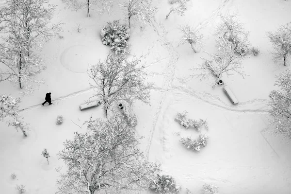 Ovanifrån på en vinter park är täckt av snö. Royaltyfria Stockbilder