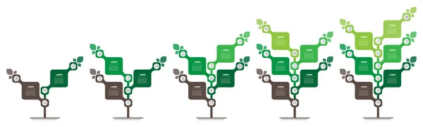 Cronología Infografías Desarrollo Crecimiento Del Negocio Línea Tiempo Concepto Presentación — Archivo Imágenes Vectoriales