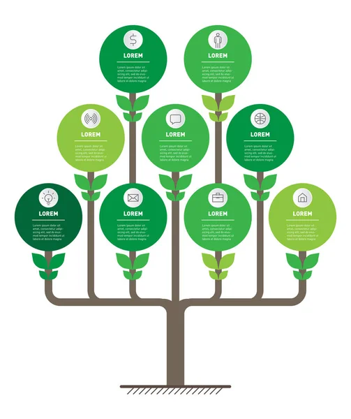 Chronologie Infographie Avec Options Développement Croissance Entreprise Chronologie Des Tendances — Image vectorielle