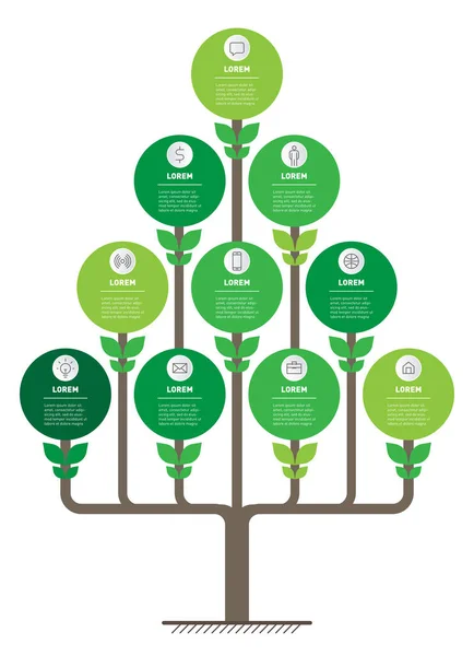 Cronologia Infografica Con Opzioni Sviluppo Crescita Del Business Linea Temporale — Vettoriale Stock