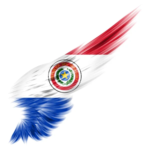 Bandiera Del Paraguay Sull Ala Astratta Con Sfondo Bianco — Foto Stock