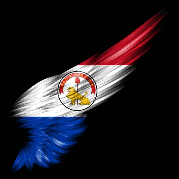 Die Flagge Paraguays Auf Abstraktem Flügel Mit Schwarzem Hintergrund Rückseite — Stockfoto