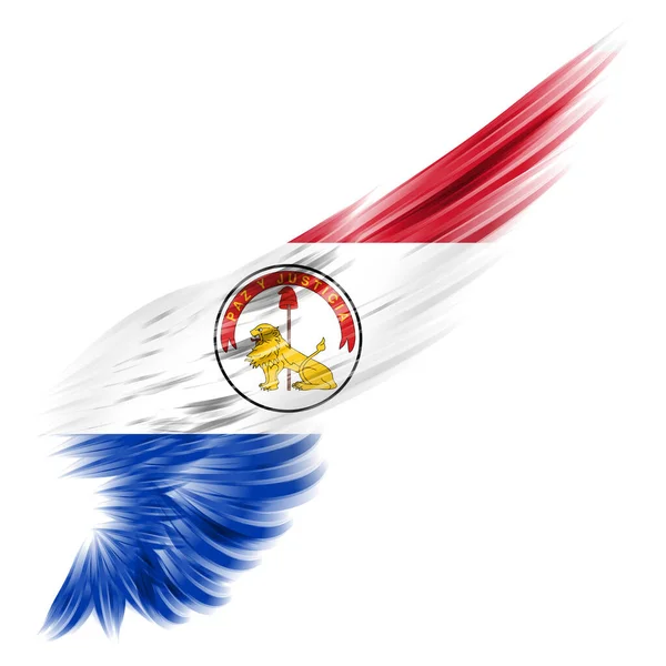 Paraguay Vlag Abstracte Vleugel Met Witte Achtergrond Omgekeerd — Stockfoto