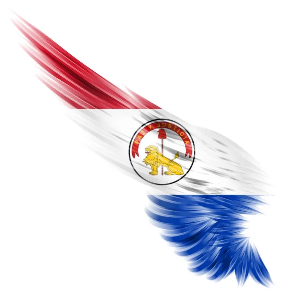 Omgekeerde Paraguay Vlag Abstracte Vleugel Met Witte Achtergrond — Stockfoto