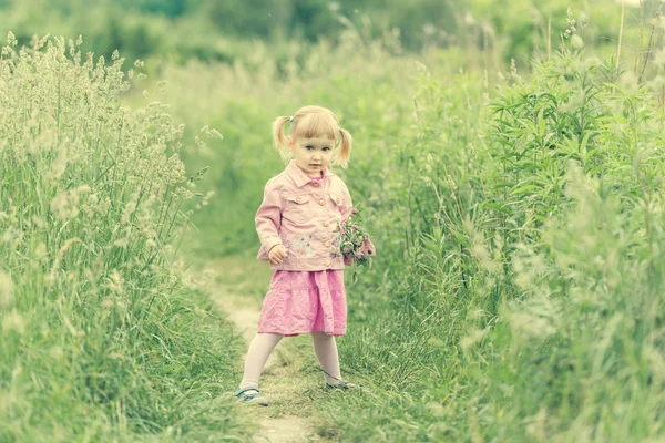 Schattig klein meisje op de weide — Stockfoto