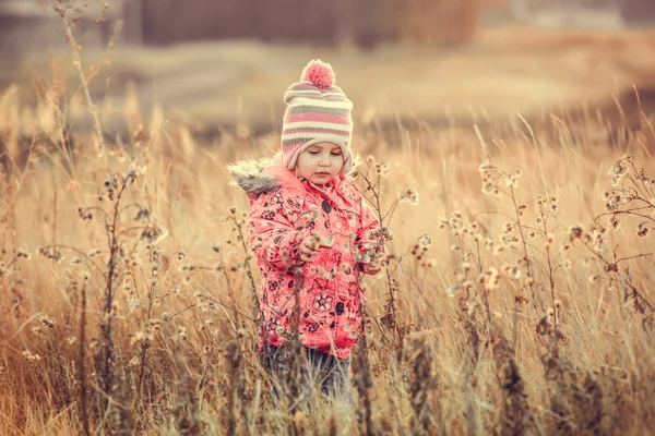 Мила маленька дівчинка в полі на заході сонця — стокове фото