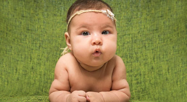 2 개월 된 여자 머리에 장식으로 — 스톡 사진