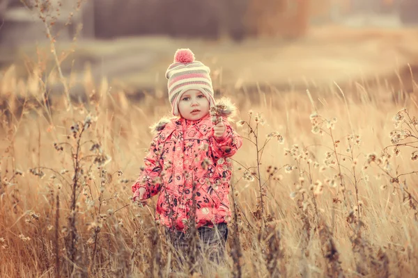 Roztomilá holčička v poli při západu slunce — Stock fotografie
