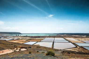Lanzarote tuz fabrikası Salinas de Janubio