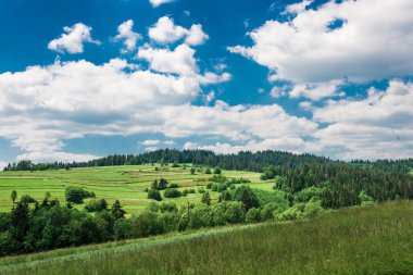 bulutların altında yeşil alan