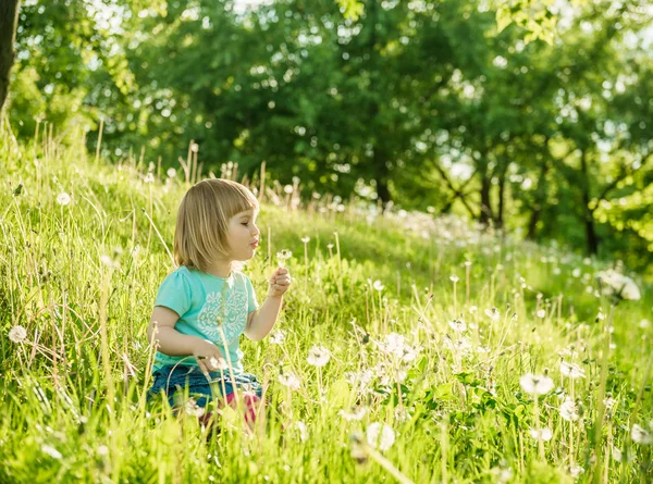 Menina feliz no campo — Fotografia de Stock