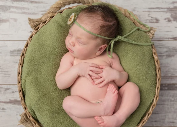 Newborn girl sleeping in a wicker basket — Stock Photo, Image