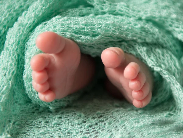 Schöne neugeborene Füße in grüner Decke — Stockfoto