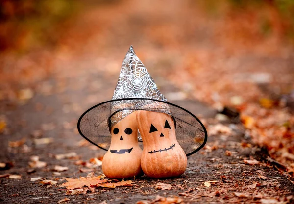 Paire de citrouilles d'Halloween sous chapeau de sorcière — Photo