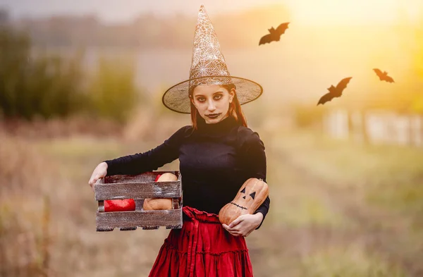 Fille habillée en sorcière avec des citrouilles — Photo