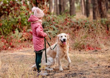 Golden Retriever ile ormanda küçük bir kız