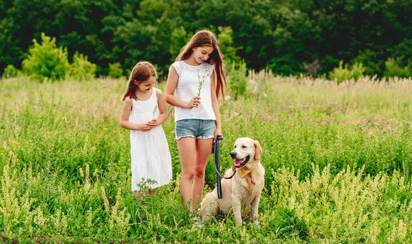 Systrar med hund på blommande äng — Stockfoto