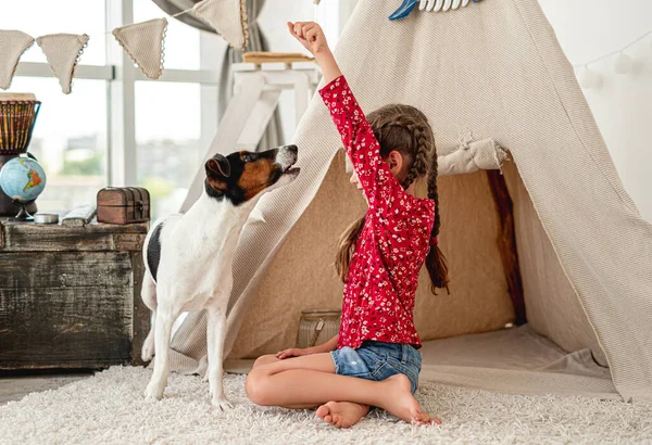 Flicka unge med räv terrier hund — Stockfoto