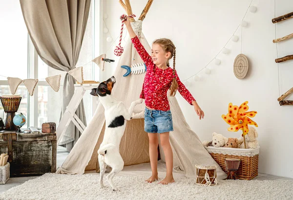 Menina brincando com raposa terrier — Fotografia de Stock