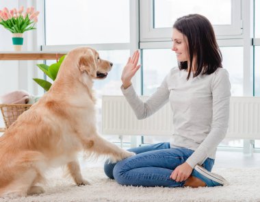 Köpek pençesini genç kıza veriyor.