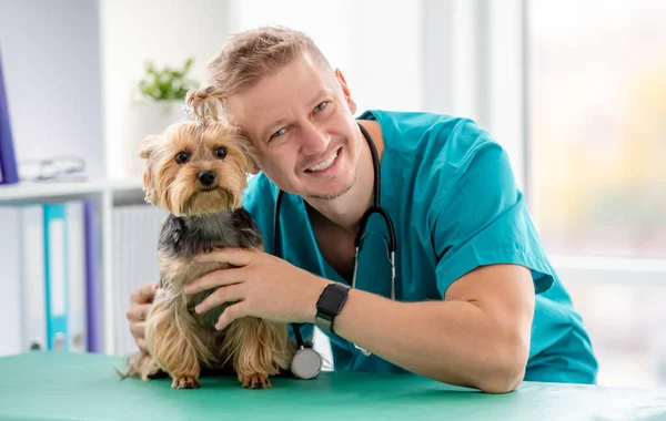 Lekarz weterynarii i yorkshire terrier w klinice — Zdjęcie stockowe