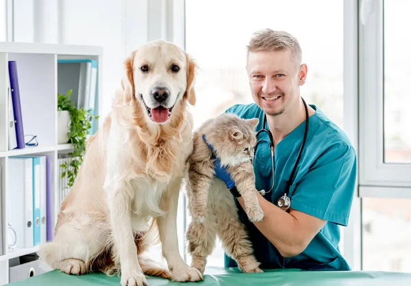Cão e gato ao lado do veterinário — Fotografia de Stock