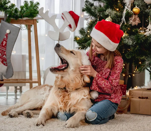 Perro bostezando bajo el árbol de Navidad en casa —  Fotos de Stock
