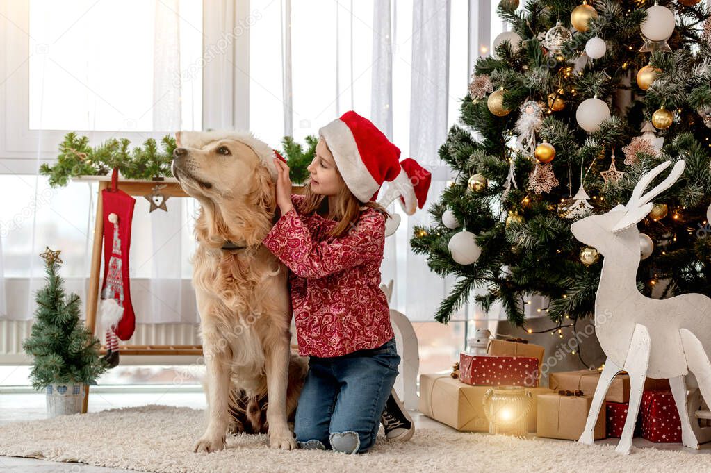 Little girl putting santa hat on dog