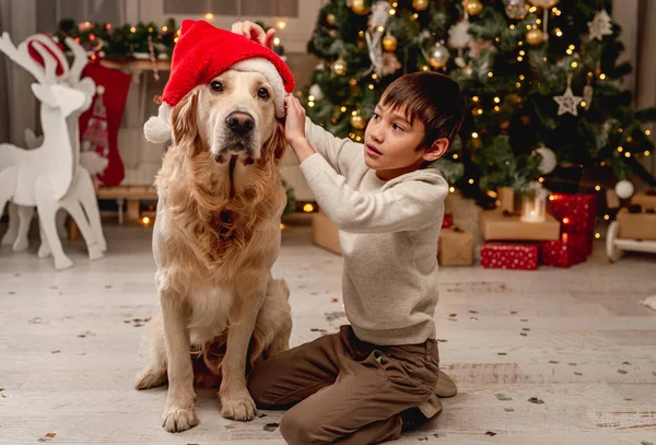 Mały chłopiec zakładający czapkę Mikołaja na psa — Zdjęcie stockowe