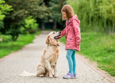 Parkta Golden Retriever 'ı olan küçük kız