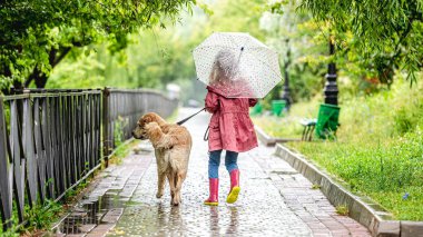 Küçük kız yağmur altında köpeğini gezdiriyor.
