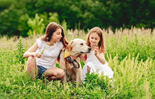 Χαριτωμένα κορίτσια με σκύλο στο λιβάδι — Φωτογραφία Αρχείου